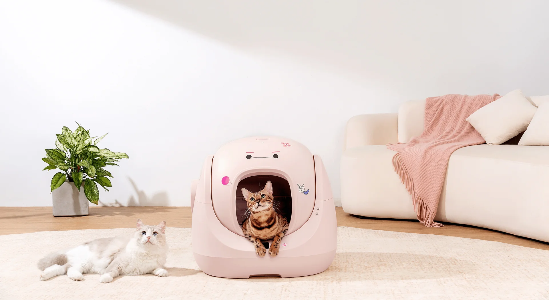 Welcome to Our Store